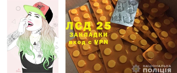 ECSTASY Алзамай