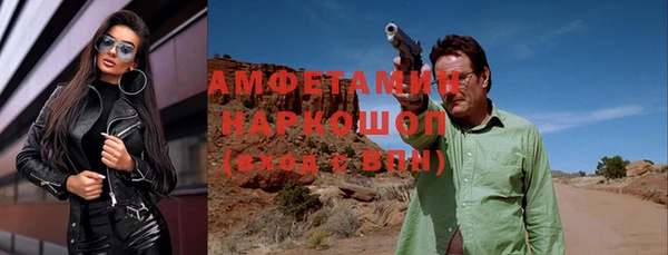 индика Грязи